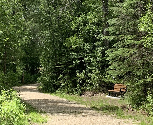 johnsonpark 2
