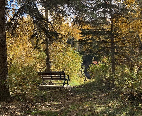 johnsonpark 4