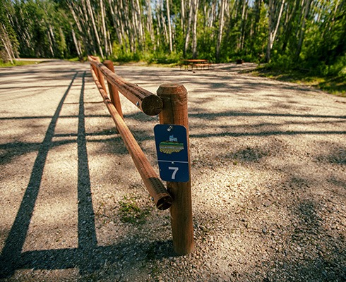 johnsonpark 6