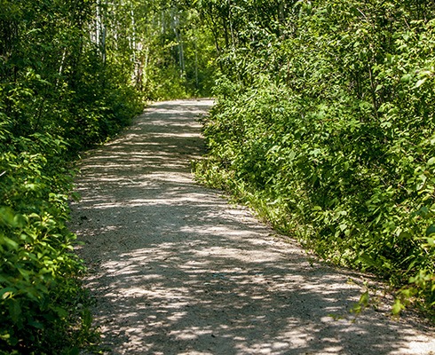 ridgevalley 3
