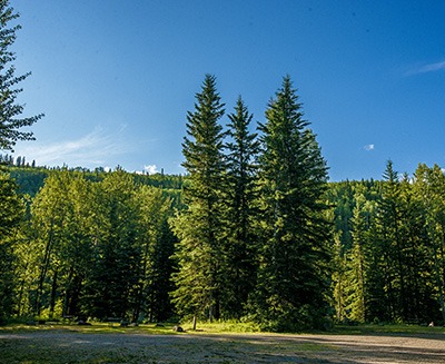 sheep creek 2