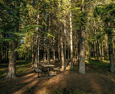 sheep creek 3