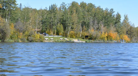 thumb swanlake