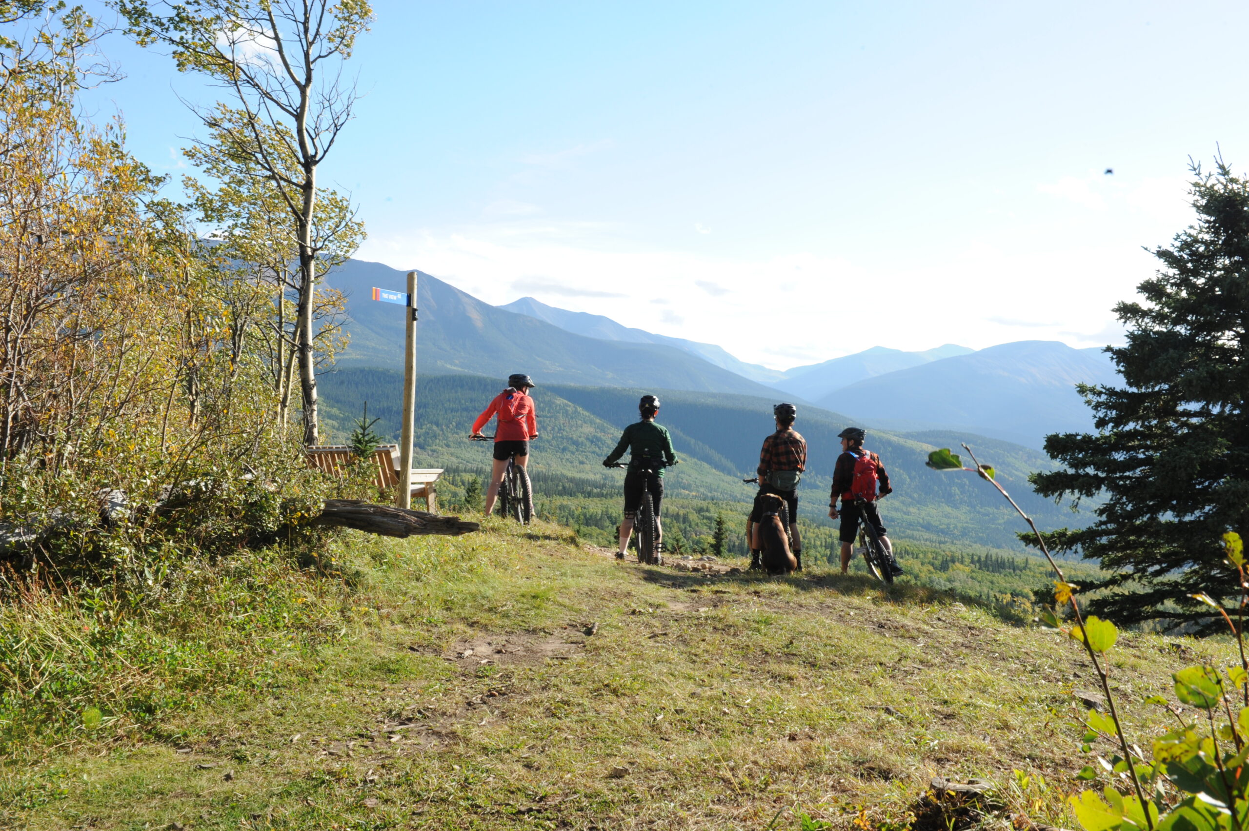 grande cache ab four mountain bikers mountain view jeremy derksen