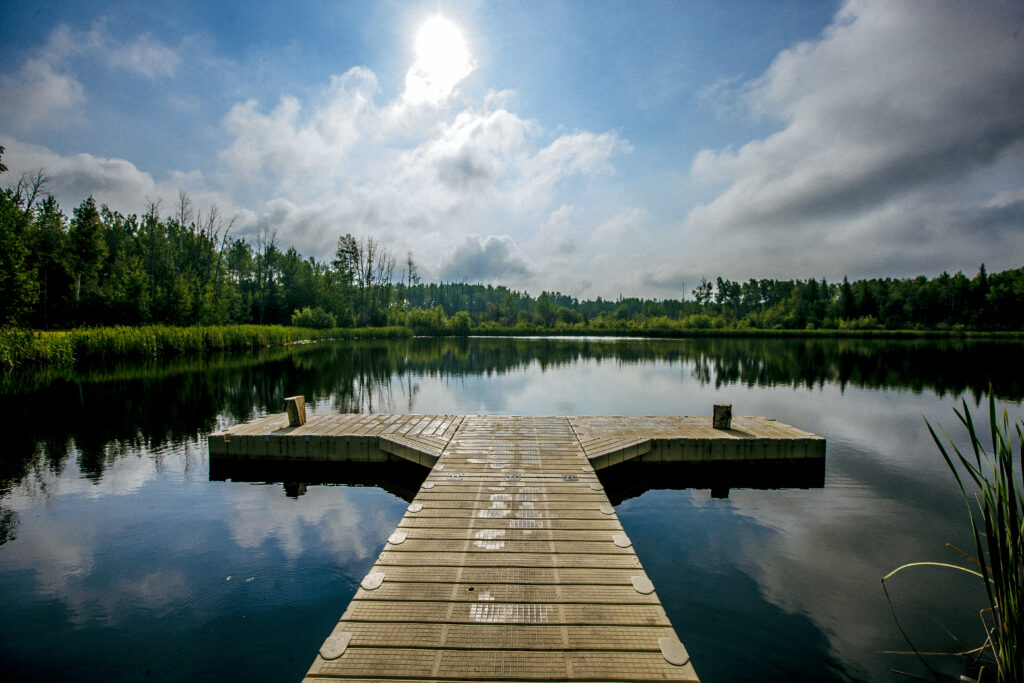 grovedale fish pond 24