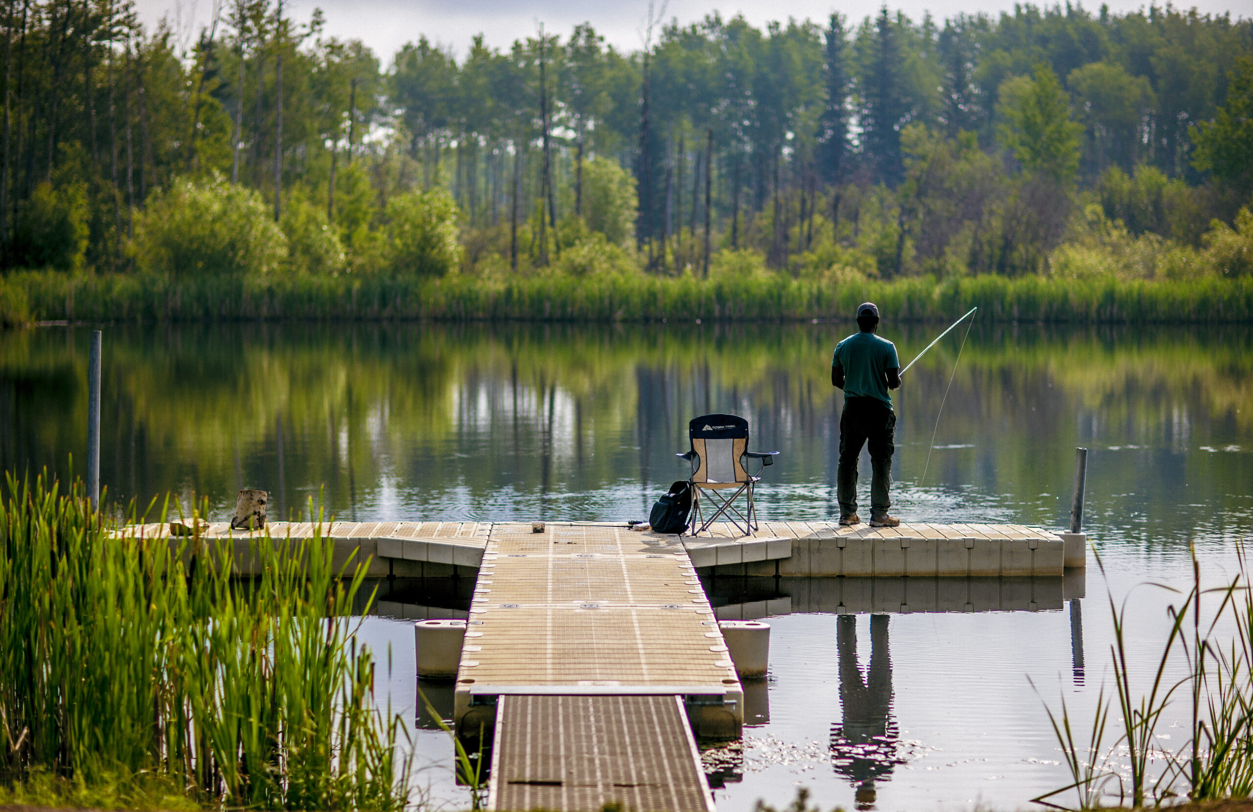 grovedale fish pond 32
