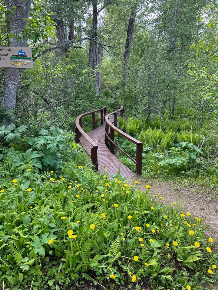 fox creek nordic trail