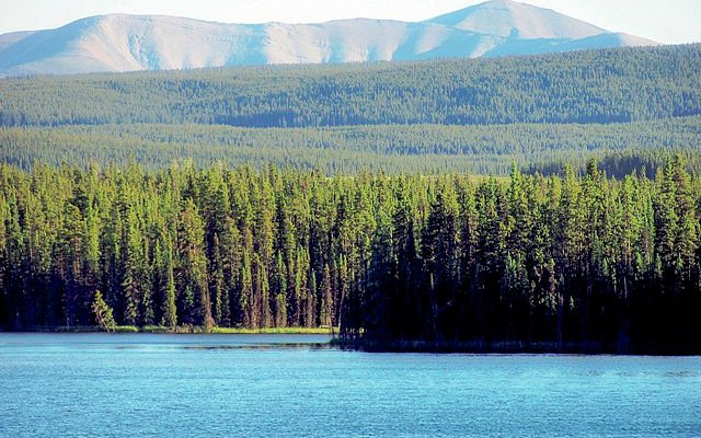 pierre grey s lakes provincial