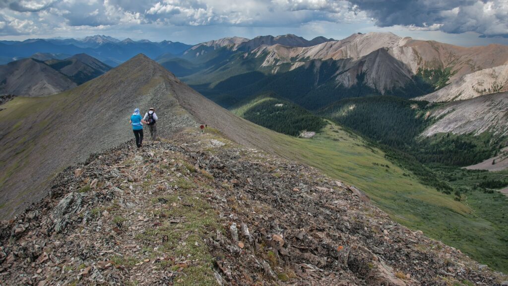 willmore wilderness park