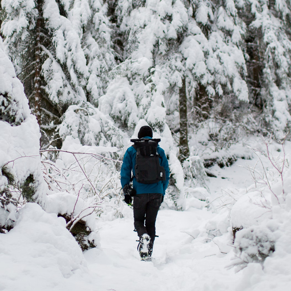 Winter circle