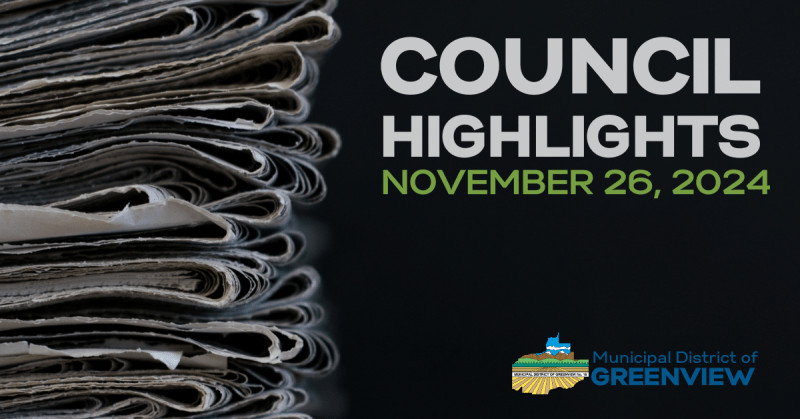 council highlights november 12 2024 800x419